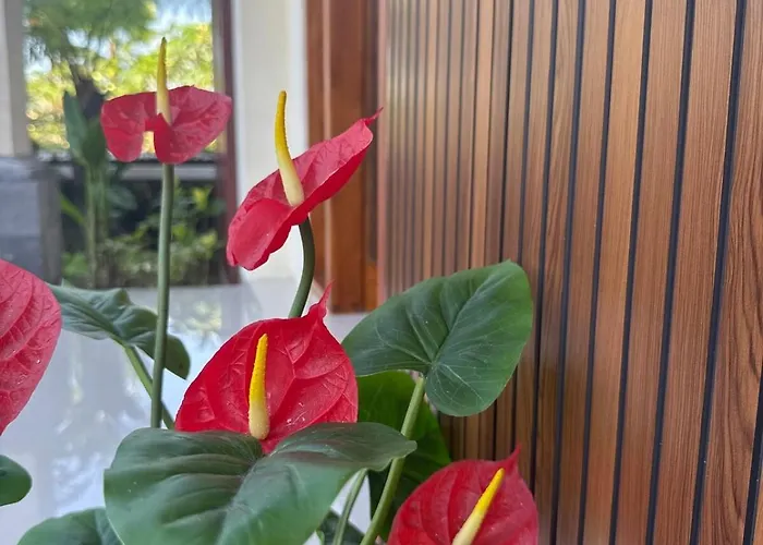 بيت ضيافة Jambangan Bali 4*