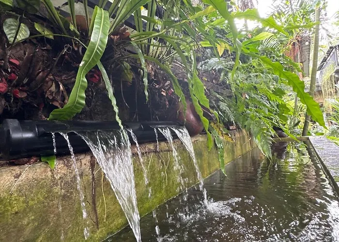 Jambangan Bali 4* أوبود