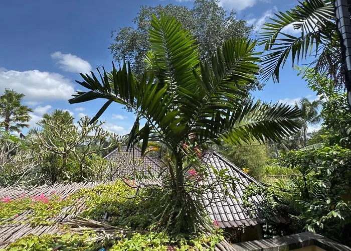 Jambangan Bali أوبود